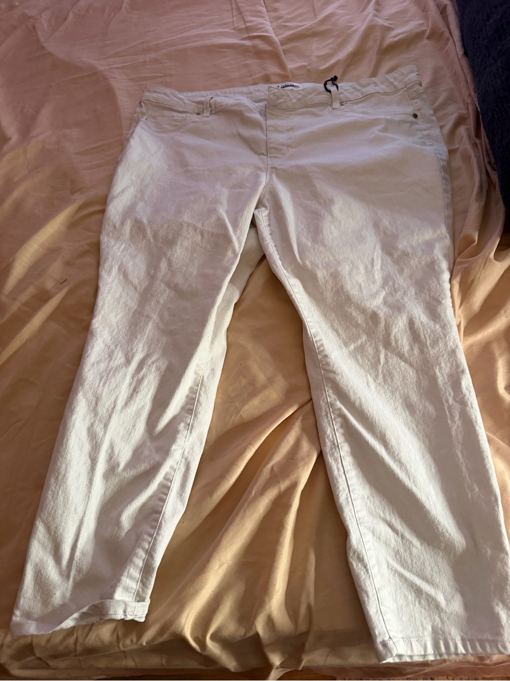 D jeans 22w
